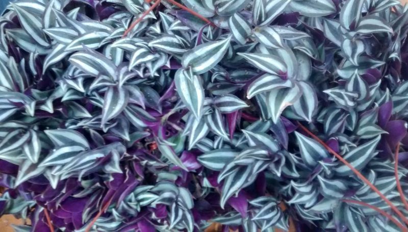 img_20160908_103752173