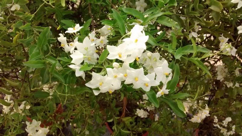 img_20160908_192401543