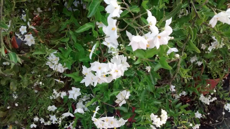 img_20160908_192426372