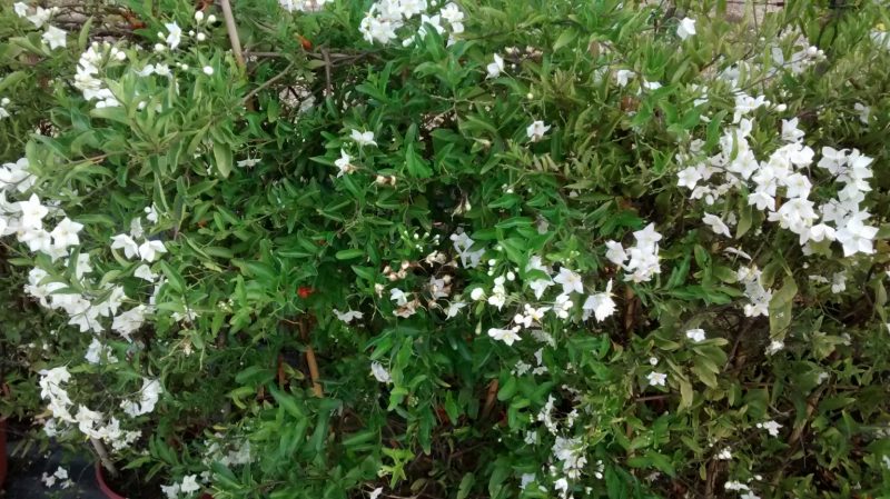 img_20160908_192439864