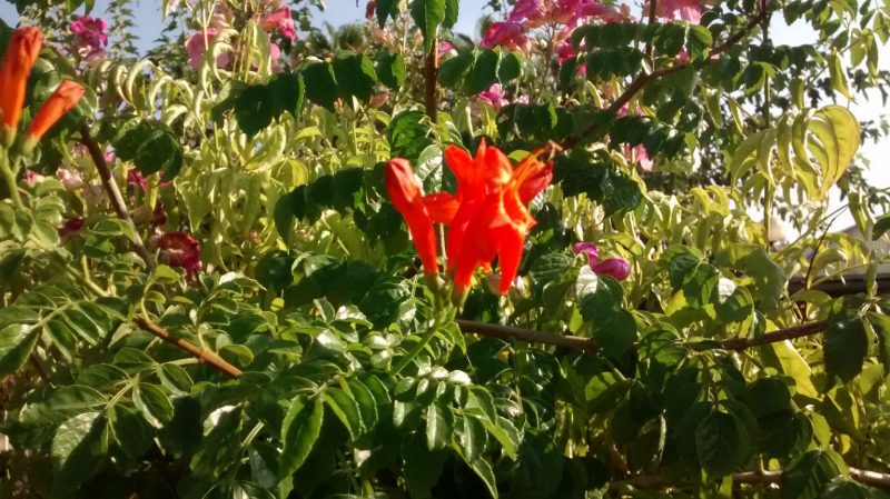 img_20160910_174105676