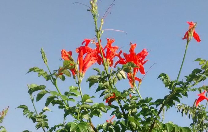 img_20160910_174116928