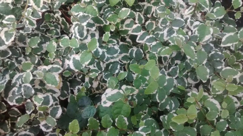 img_20160914_114933283