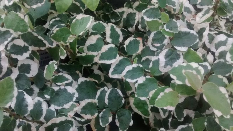 img_20160914_114938368