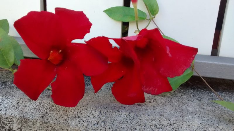 img_20160916_162251622