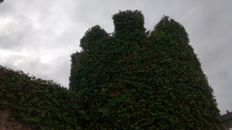 img_20161017_130355651