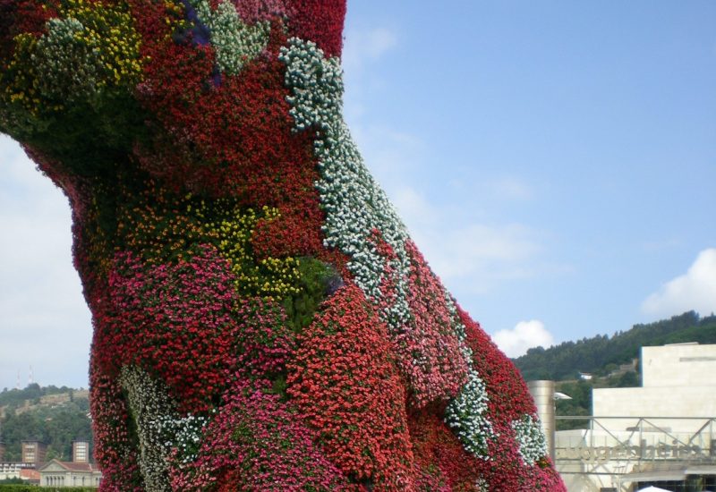 DSCN0992