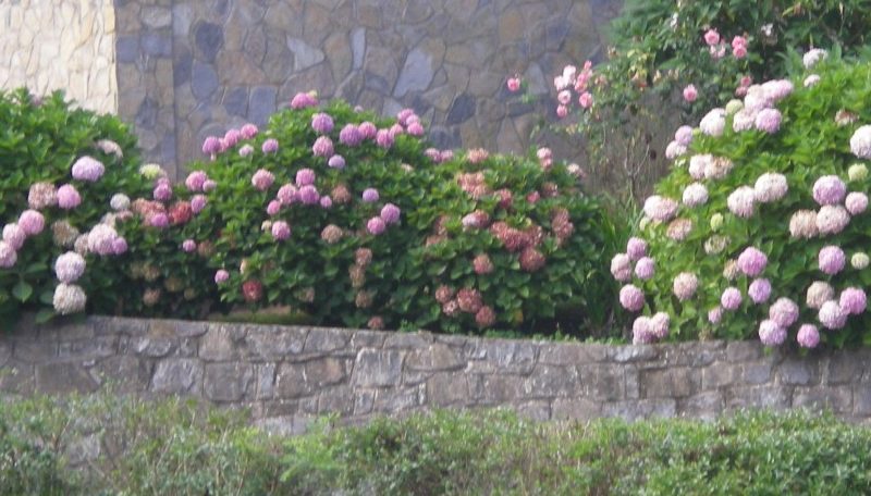 DSCN1067