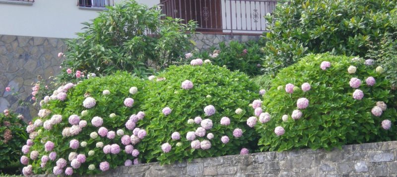 DSCN1068