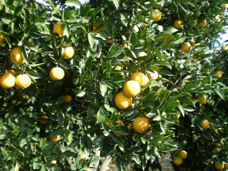dscn4561