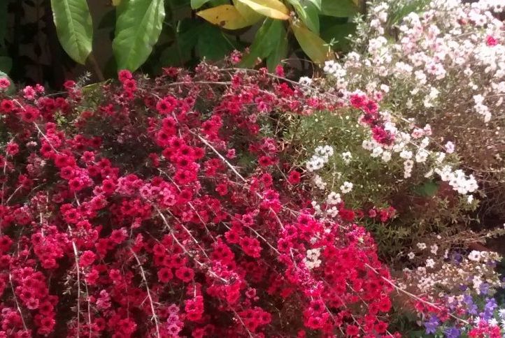 IMG_20150507_152710002