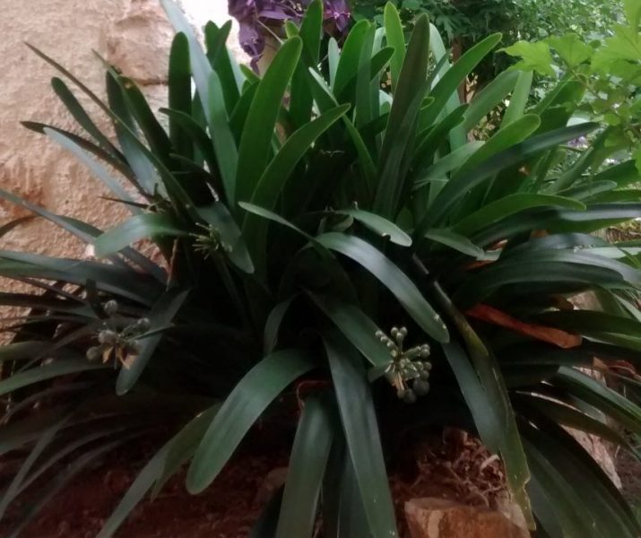 IMG_20160904_131214431