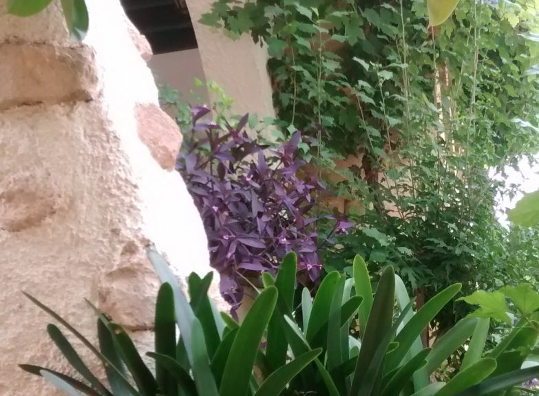 IMG_20160904_131214431