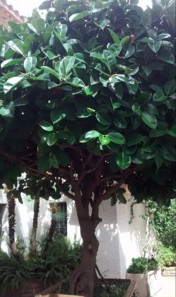 IMG_20160904_131855437