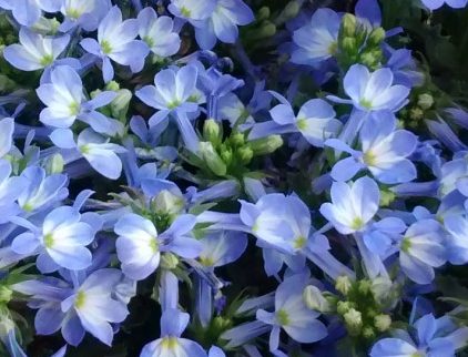 IMG_20160906_114846240