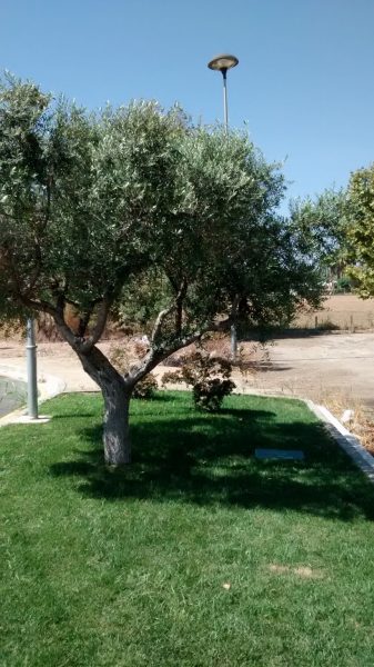 IMG_20160906_131453120