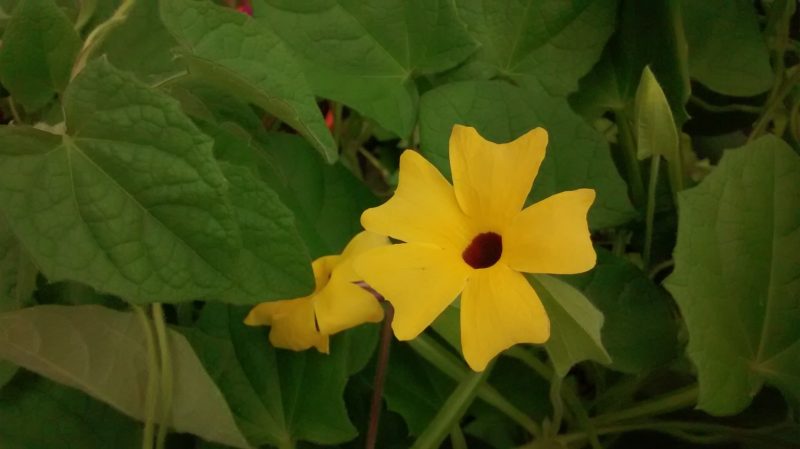 img_20160908_165527318