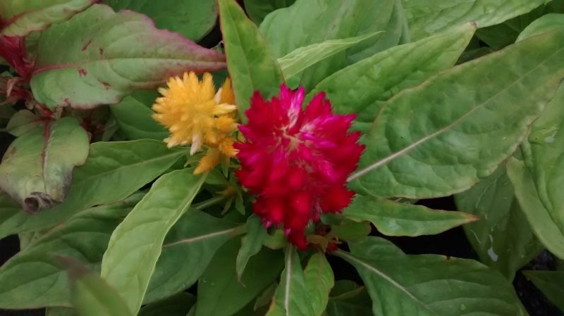 img_20160908_173328234