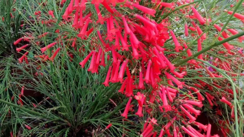 img_20160908_192517461