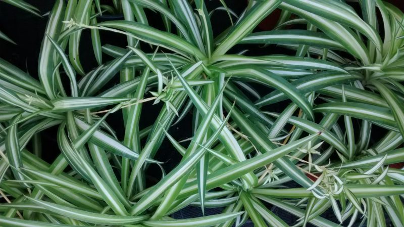 img_20160908_193133116