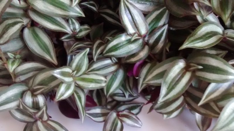 img_20160909_164535298