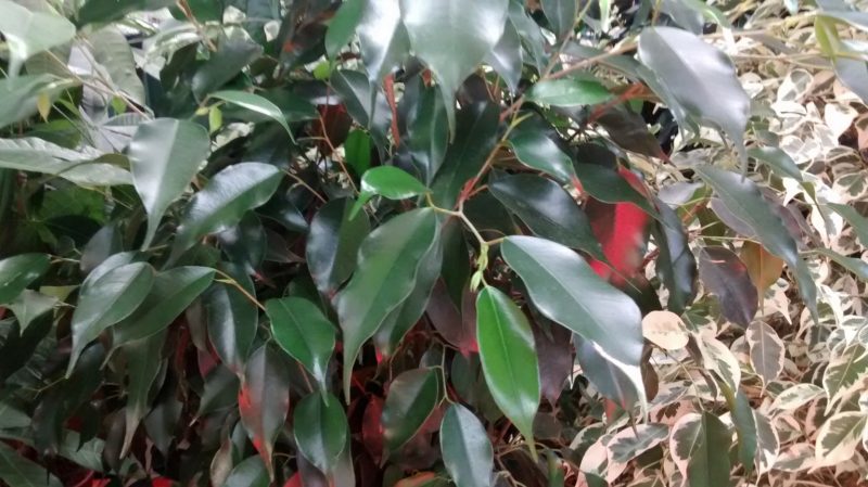img_20160910_175115075