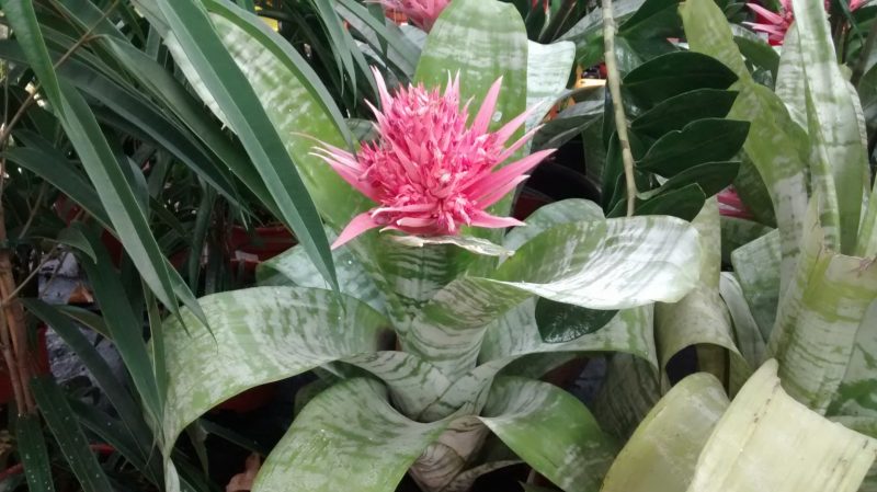 img_20160913_103300222