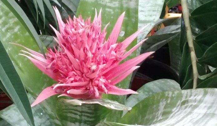 img_20160913_103300222