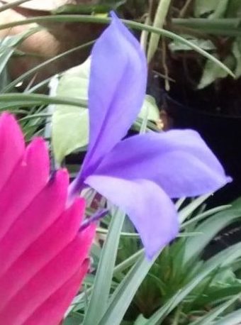 img_20160913_113000875