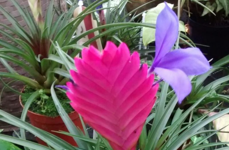 img_20160913_113003055