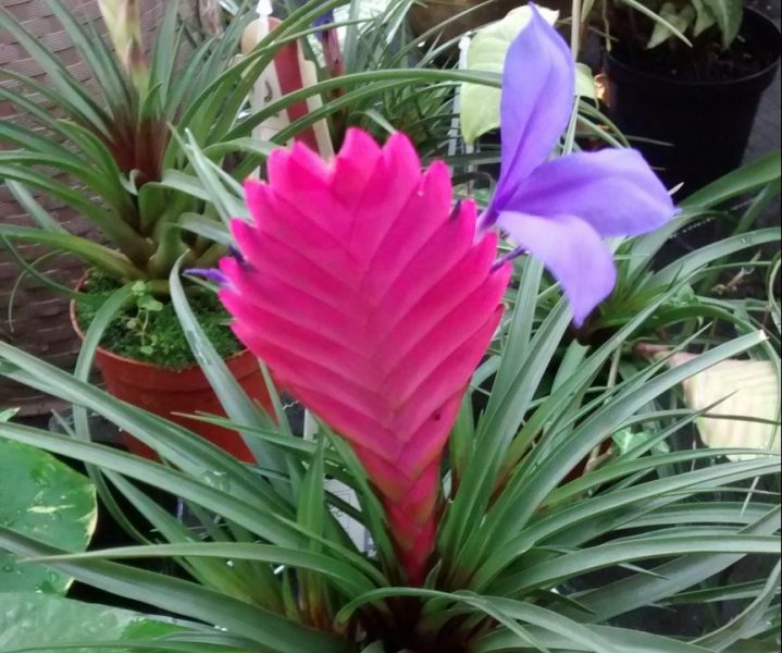 img_20160913_113003055