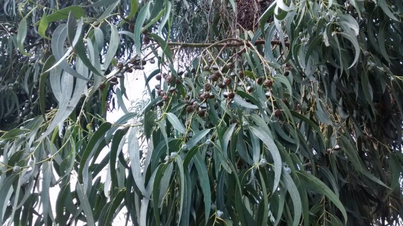 img_20160913_134758760