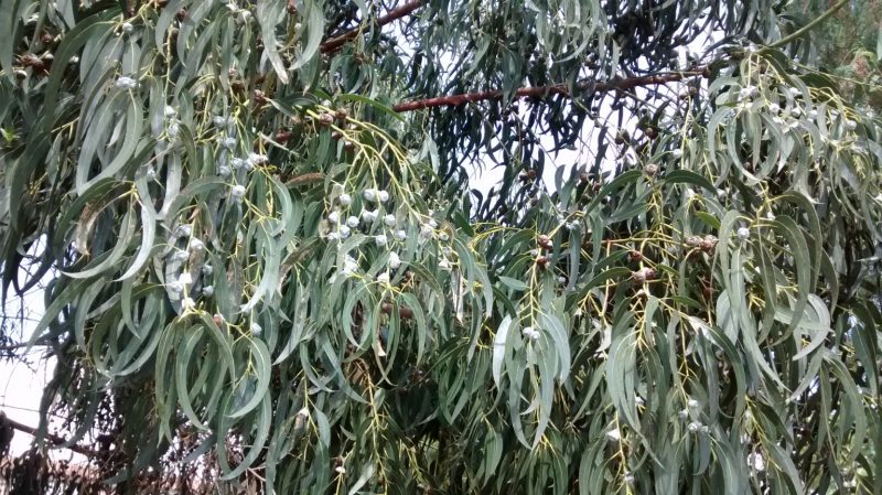 img_20160913_134811943