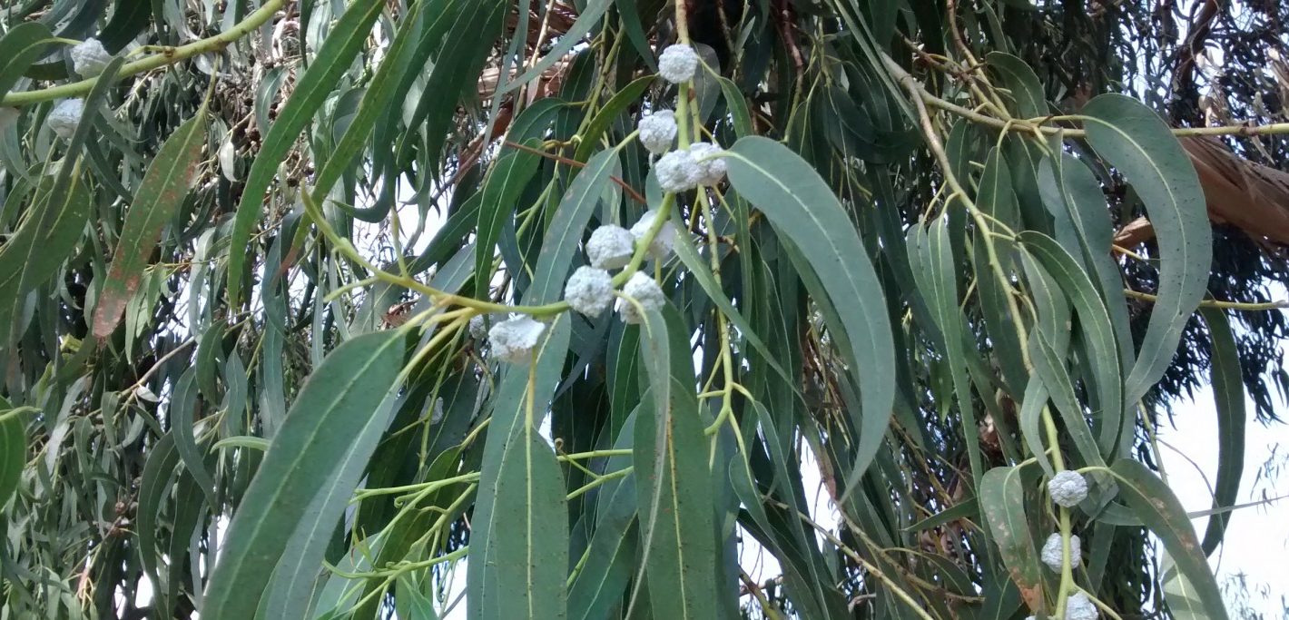 img_20160913_134827393