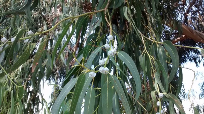 img_20160913_134832119