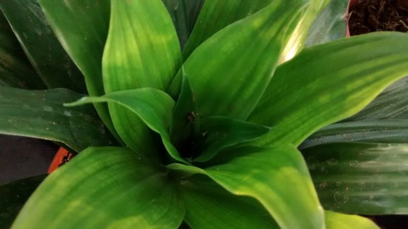 img_20160913_190240348