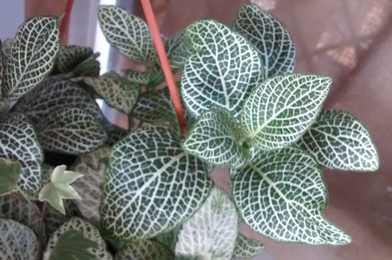 img_20160914_114745283