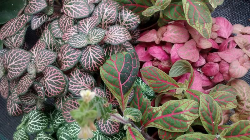 img_20160914_120708499