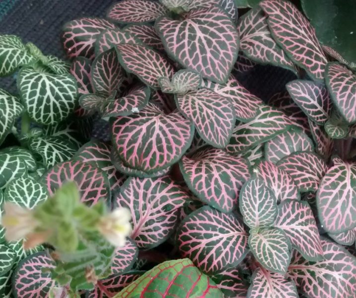 img_20160914_120708499