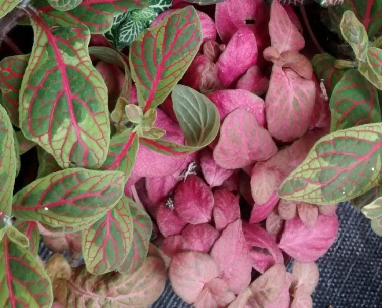 img_20160914_120708499