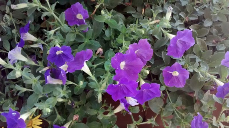 img_20160914_170410448