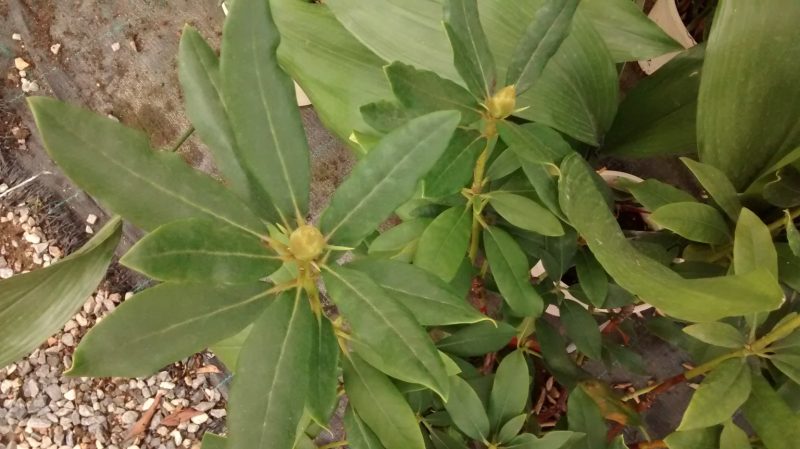 img_20160914_185356708