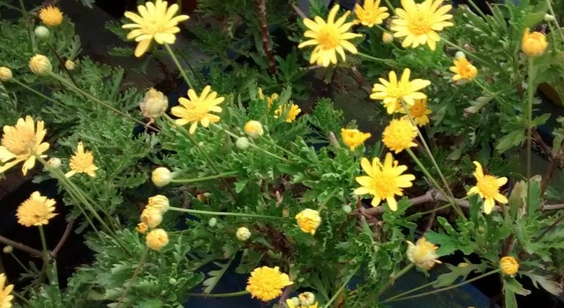 img_20160914_190848642