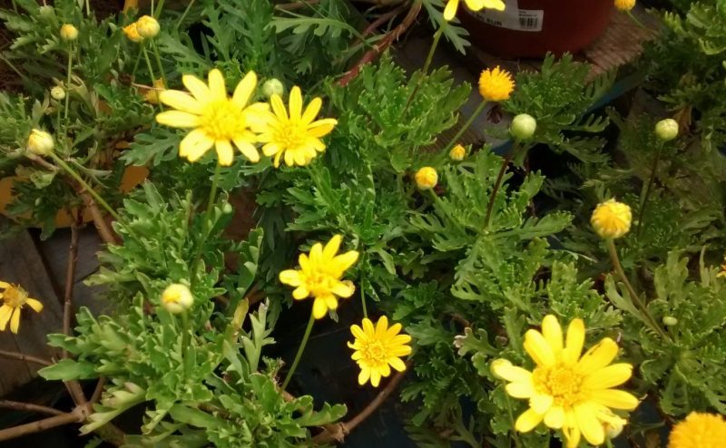 img_20160914_190919311