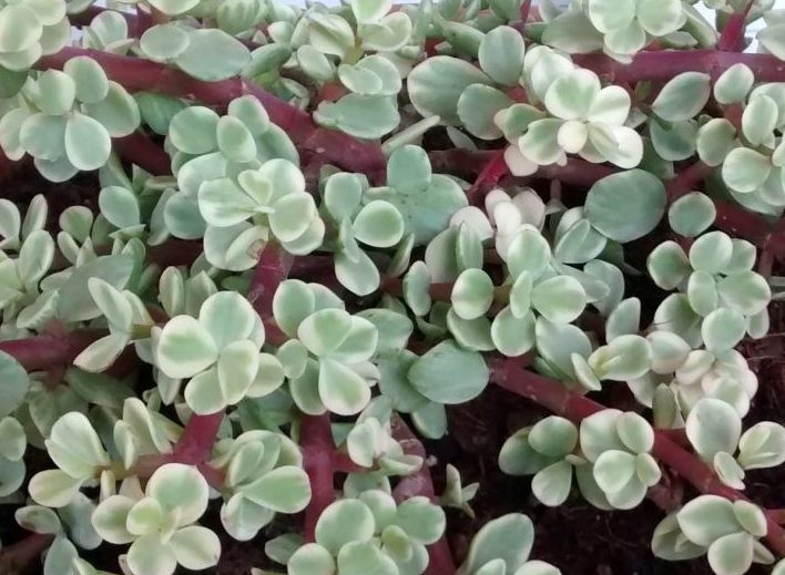 img_20160915_084540956