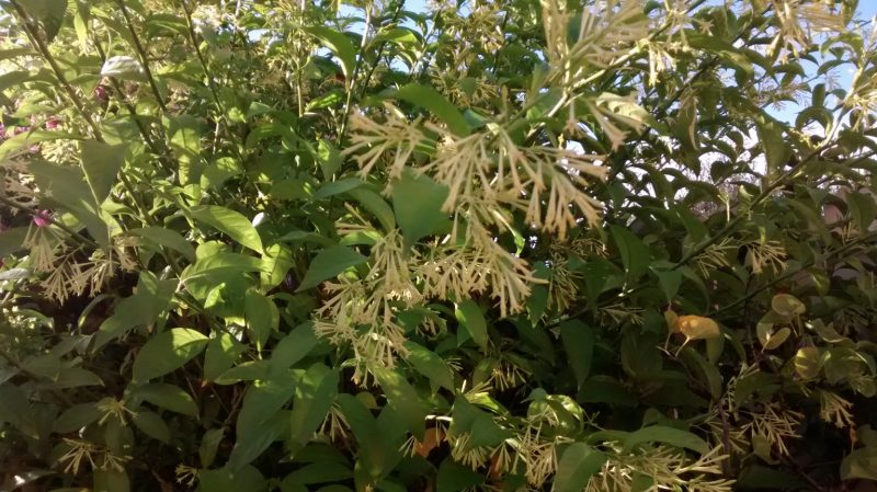 img_20160915_084641024