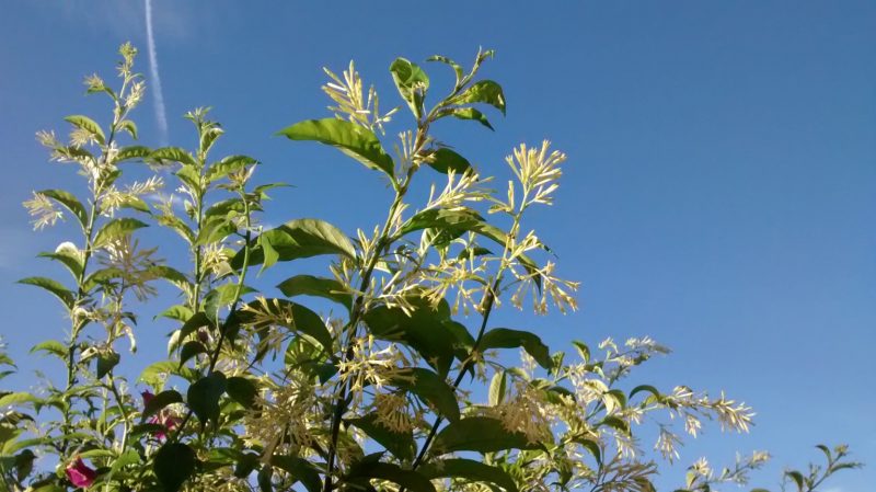 img_20160915_084707032