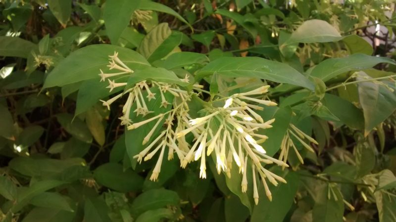 img_20160915_084721524