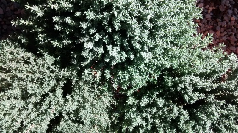 img_20160916_171201903