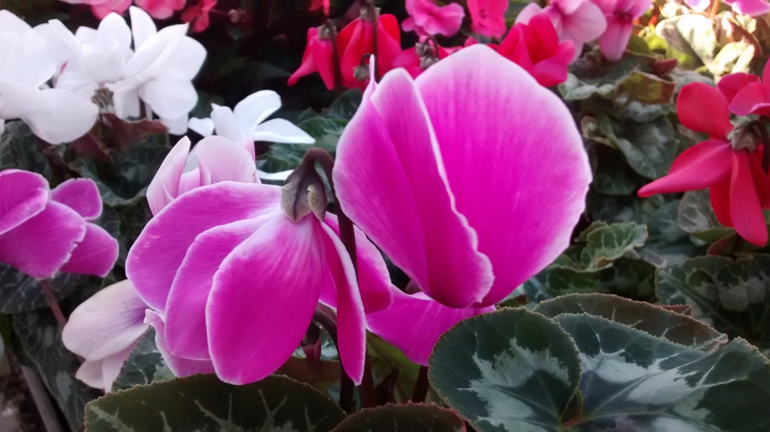 img_20160916_171537356